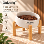 Dalvoriq™ Sculptural Ceramic Decorative Accent – Organic Modern Home Statement Piece